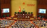 France-based expert suggests elevating parliamentary diplomacy to support national development