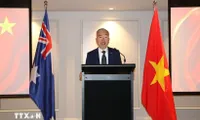 Vietnam – Australia ties increasingly substantive: Consul General