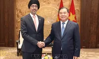 Vietnam treasures cooperative ties with Singapore: Party official