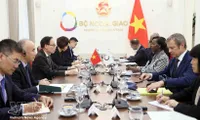 Vietnam always treasures cooperation with Francophone community: FM