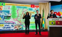 Vietnam, Brazil promote cooperation in agriculture, energy, biotechnology
