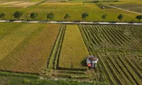Green finance seen as key to unlocking Vietnam's low-carbon transition