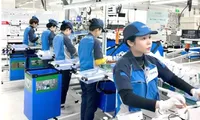Vietnam emerges as strategic hub for Japanese investment shift