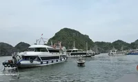 New cruise route linking Ha Long and Lan Ha Bays launched