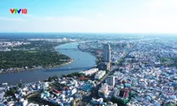 VTV Can Tho Channel Rebranded as VTV10 from March 30