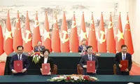 VTV signs cultural and arts production  agreement with CMG for 2026-2027