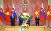 Vietnamese, Slovak PMs witness exchange of documents, chair joint press briefing