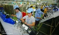 Vietnam, India expand trade cooperation in new growth phase