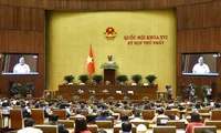 Lawmakers review taxable revenue threshold for household businesses