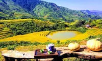 Regional connectivity creates fresh momentum for Vietnam’s tourism growth