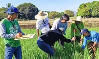 Vietnam, Philippines further boost cooperation in food security