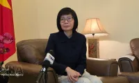 Vietnam works with ASEAN to navigate global turbulence: ambassador