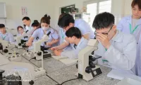 Digital capacity improvement needed for comprehensive human development