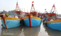 Dong Thap tightens control of fishing fleet to combat IUU fishing