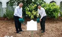 Vietnam's top leader, Singapore PM plant tree at Singapore Botanic Gardens