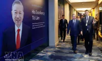 Vietnam – “Architect” of regional peace, security