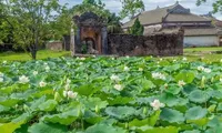 Lotus Festival lights up Hue’s summer