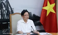 Deputy PM urges faster completion of science, technology, digital transformation regulations
