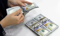 Reference exchange rate rises 5 VND on June 30