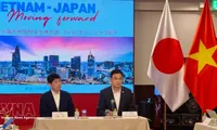 Vietnam, Japan promote cooperation in digital transformation