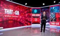 “Real - Fake, Verify”: Fighting Misinformation with Daily Fact-Checking