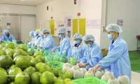 Turkish cooperatives open sourcing channel for Vietnamese businesses