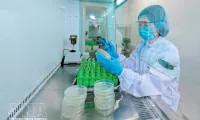 Resolution helps drive foreign direct investment into green economy