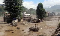 Vietnam sends condolences to China, Nepal over natural disasters