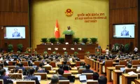 First extraordinary session of 16th National Assembly opens