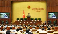 Lawmakers discuss establishing stable institutional framework for urban development