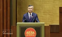 Lawmakers discuss customs reform linked to digital transformation, risk management