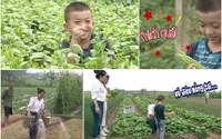 Cùng giọng ca Sao mai 2006 – Cẩm Tú khám phá trang trại rau sạch ăn ngay tại vườn Cùng giọng ca Sao mai 2006 – Cẩm Tú khám phá trang trại rau sạch ăn ngay tại vườn