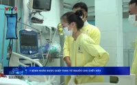 7 bệnh nhân được ghép tạng từ người cho chết não
