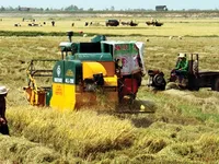 Farming model increases profits, lowers emissions