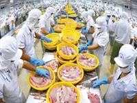 Tra fish need strong brand to boost sales