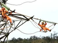 Expert urges VN to reform energy sector