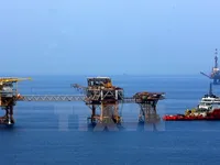 Guidelines govern petroleum sector