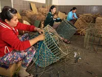 VN needs better quality forest products