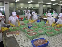 Regulations on Tra fish amended