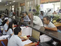 Firms expect customs improvements