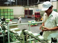 Vinamilk seeks more foreign stakes