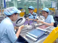 Dong Nai's nine-month FDI exceeds yearly target