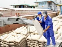 Cement export target misses mark this year