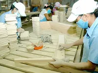 SMEs need more credit access