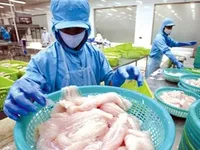 Firms urged to take up trade defence measures