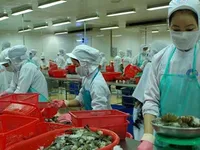 Vietnamese shrimp exports to UK rise