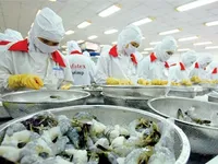 VN companies advised to work more on branding