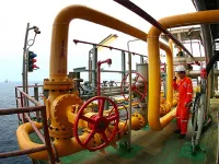 Viet Nam's top 500 firms named