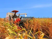 HAGL Agrico to sell 59 million shares