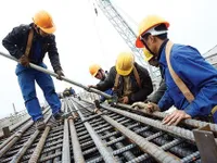 Domestic GDP likely to grow 6.5% in 2015